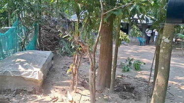 বাবার কবরের পাশে শায়িত হবেন শহিদ জসিমের মেয়ে লামিয়া