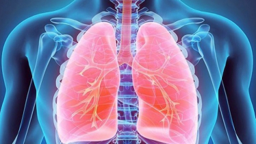 ফুসফুস ভালো রাখতে যে অভ্যাস রপ্ত করতে পারেন