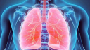 ফুসফুস ভালো রাখতে যে অভ্যাস রপ্ত করতে পারেন