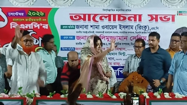 প্রতিহিংসার রাজনীতি ছেড়ে উন্নয়নের রাজনীতি করতে হবে: পররাষ্ট্র প্রতিমন্ত্রী