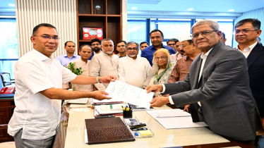 রাষ্ট্রপতি পদে বিএনপি মনোনীত প্রার্থী মির্জা ফখরুল
