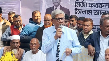 দাঁড়িপাল্লা মার্কা দলটি মুক্তিযুদ্ধে পাকিস্তানিদের পক্ষে ছিল