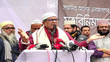 দেশ ক্রান্তিকাল পার করছে: মির্জা ফখরুল