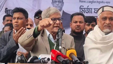 জামায়াতে ইসলামী দেশকে আফগানিস্তান বানাতে চায় : মির্জা ফখরুল