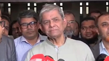 পরবর্তী রাষ্ট্রপতি মনোনয়ন নিয়ে যা জানালেন মির্জা ফখরুল