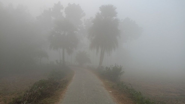 উত্তরবঙ্গে তীব্র শীত অনুভূত, সর্বনিম্ন তাপমাত্রা নওগাঁয়