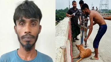 কুকুরের গলায় ইট বেঁধে নদীতে নিক্ষেপ, যুবক আটক