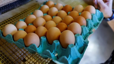 অজ্ঞাত লাশের রহস্য উন্মোচন করলো ডিমের ক্রেট অজ্ঞাত লাশের রহস্য উন্মোচন করলো ডিমের ক্রেট