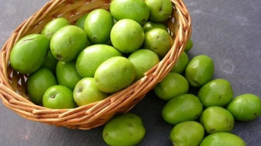 জলপাই পাতার স্বাস্থ্য উপকারিতা