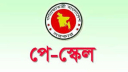 সরকারি চাকরিজীবীদের পে-স্কেল নিয়ে প্রধান উপদেষ্টার নতুন নির্দেশনা