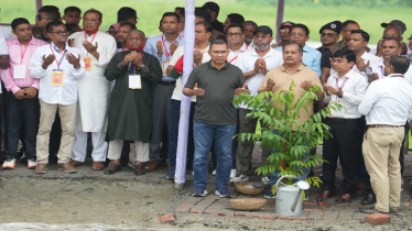 গৌরনদীতে বৃক্ষরোপণ কর্মসূচির উদ্বোধন প্রধানমন্ত্রীর