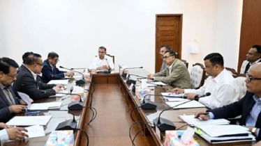 সারাদেশে বৃক্ষরোপণ কর্মসূচি জোরদারের নির্দেশ প্রধানমন্ত্রীর