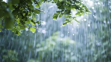 মৌসুমি বায়ুর সক্রিয়: টানা বৃষ্টি নিয়ে আবহাওয়া অফিসের বার্তা