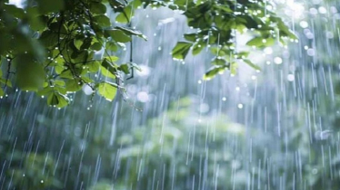 লঘুচাপের প্রভাবে সারা দেশে বৃষ্টির পরিমাণ বাড়তে পারে