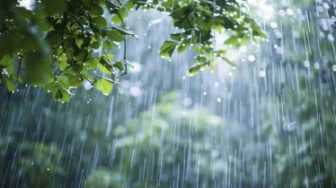 দেশের কোথায় ভারী বর্ষণ হবে জানালো আবহাওয়া অফিস