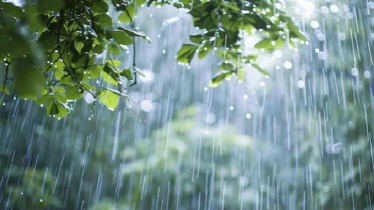 বঙ্গোপসাগরে লঘুচাপ: ভারী বর্ষণের আভাস দিল আবহাওয়া অফিস