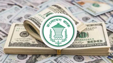 ফেব্রুয়ারি মাসে রেমিট্যান্স প্রবাহ ১৯.৫ শতাংশ বৃদ্ধি