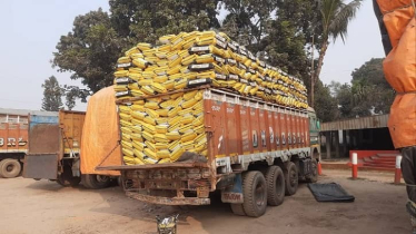 হিলি স্থলবন্দর দিয়ে ভারত থেকে চাল আমদানি শুরু