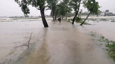পাঁচ নদীর পানি বিপৎসীমার ওপরে, চার সমুদ্রবন্দরে ৩ নম্বর সতর্কসংকেত