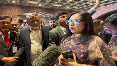 সংসদে আওয়ামী লীগের না থাকা নিয়ে যা বললেন রুমিন ফারহানা