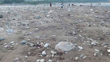 সাদাপাথর লুটের ঘটনায় দোষীদের বিরুদ্ধে দ্রুত ব্যবস্থা নিতে হাইকোর্টে রিট