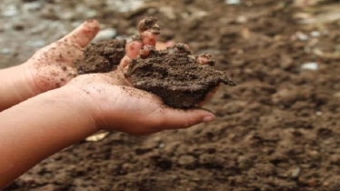 দেশে মাটিতে সিসা ৭০ হাজার পিপিএম, মানদণ্ডের ৩৫০ গুণ