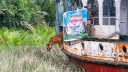 বনে ফিরল বাঘিনী, অবমুক্ত করলেন পরিবেশ প্রতিমন্ত্রী