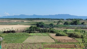 টেকনাফে অস্ত্রের মুখে জিম্মি করে ছয় কৃষককে অপহরণ
