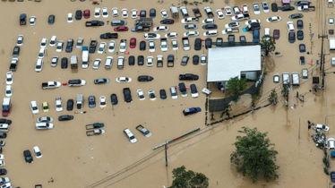 থাইল্যান্ডে বন্যায় মৃতের সংখ্যা বেড়ে ১৬২