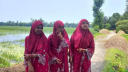 একই সঙ্গে ট্যালেন্টপুলে বৃত্তি পেল তিন জমজ বোন