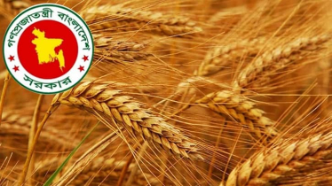 ২ লাখ ৭০ হাজার মেট্রিক টন গম আমদানি করবে সরকার ২ লাখ ৭০ হাজার মেট্রিক টন গম আমদানি করবে সরকার