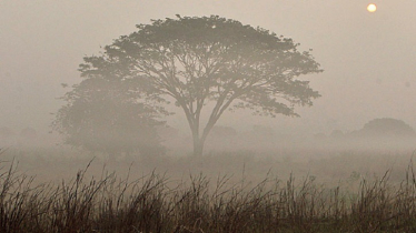 শীত নামবে কবে, জানাল আবহাওয়া অফিস