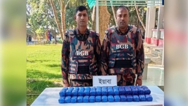 কক্সবাজারে বিজিবির অভিযানে সাড়ে ৪ কোটি টাকার ইয়াবা উদ্ধার