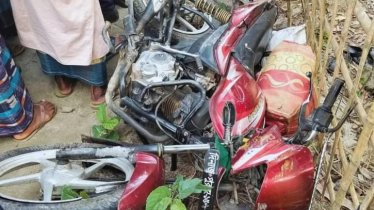 ট্রাকচাপায় শিশুসহ একই পরিবারের নিহত ৩