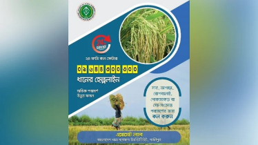 ধান চাষে কৃষকের সহযোগিতায় ২৪ ঘণ্টার হেল্পলাইন চালু করেছে ব্রি