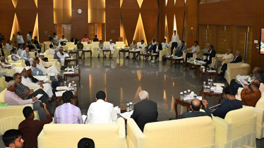 সীমানা নির্ধারণ ও তত্ত্বাবধায়ক প্রশ্নে সকল রাজনৈতিক দল একমত: আলী রীয়াজ