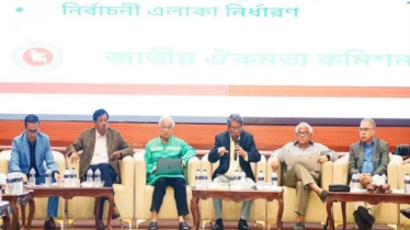 দ্বিকক্ষ বিশিষ্ট সংসদে একমত, ভিন্নমত রাষ্ট্রপতি-প্রধানমন্ত্রী নিয়ে: আলী রীয়াজ