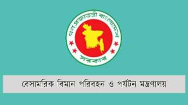 এয়ার টিকিটের অস্বাভাবিক মূল্যবৃদ্ধি রোধ করতে ৪ নির্দেশনা