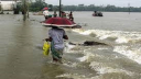 নতুন করে বন্যার ঝুঁকিতে ৫ জেলা