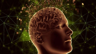 মৃত্যুর আগমুহূর্তে মানুষের মস্তিষ্কের কী ঘটে?