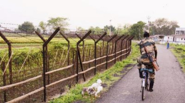 ভারতীয় খাসিয়ার গুলিতে ২ বাংলাদেশি আহত 