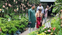 জাতীয় বৃক্ষমেলায় নজর কাড়ছে চীনা ফুল ও ফলের গাছ