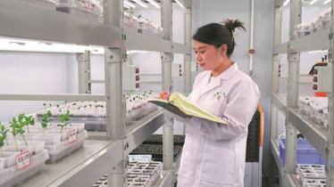 শায়ানসিতে বিজ্ঞানের ছোঁয়ায় বদলাচ্ছে কৃষির ভবিষ্যৎ