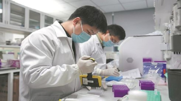 চীনা বিজ্ঞানীরা উন্মোচন করলেন প্রাথমিক মানব ভ্রূণ বিকাশের ‘ব্ল্যার ব্ল্যাক বক্স’