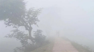 হাড়কাঁপানো শীতের বার্তা আবহাওয়া অফিসের, চারে নামতে পারে তাপমাত্রা