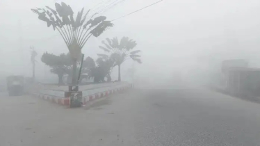 ৪৪ জেলায় শৈত্যপ্রবাহ, থাকবে কতদিন জানালো আবহাওয়া অফিস