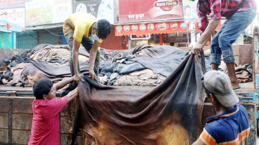 কোরবানির চামড়ার বাজারে ধস, হতাশ ব্যবসায়ীরা