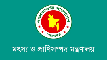 গবাদি পশুর সুরক্ষায় ৪ কোটি ডোজ ভ্যাকসিন আমদানির উদ্যোগ সরকারের