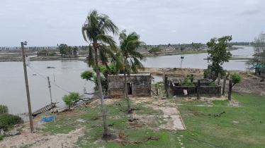 ড. ইউনূসের গ্রামীণ মৎস্য ও পশুসম্পদ ফাউন্ডেশনের ঘেরে ডাকাতি, আহত ৪