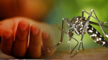 চলতি বছর ডেঙ্গুতে ২০০ জনের মৃত্যু